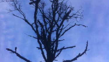 LAGOON'S HOUSE - Photo 2