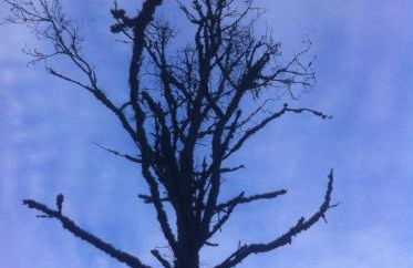 LAGOON'S HOUSE - Photo 2