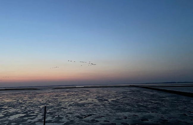 Ferienhaus Wiesengrund mit Sauna, Dornumersiel - Foto 18