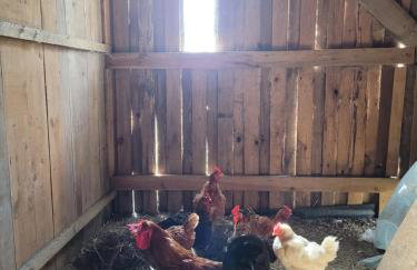 Agroturystyka Kaszuby Villagehome - Foto 44