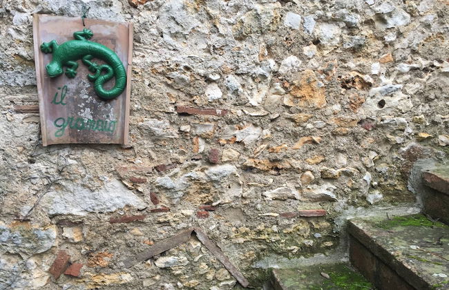 Silence and Relaxation in Countryside of Umbria - Photo 16