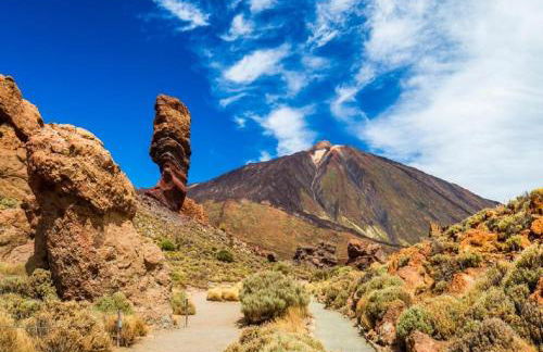 CASA TAYRI DE TAMAIDE TENERIFE SUR - Foto 53