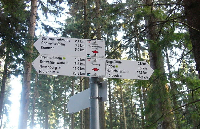 Waldhorn Dobel - Foto 32