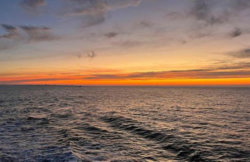 Le bestiaire - Foto 31