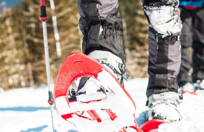 Tallinn Snowshoe Hiking Tour - Foto 1