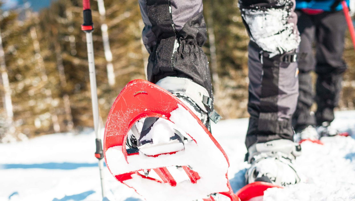 Passeio com raquetes de neve pelos bosques de Tallinn