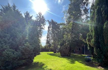 Domaine du Bal - Photo 10