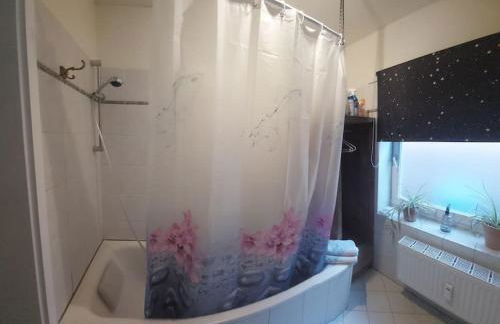 Wo die Fledermaus fliegt - Foto 7