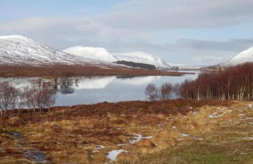 3 St Gilbert Street - Photo 51