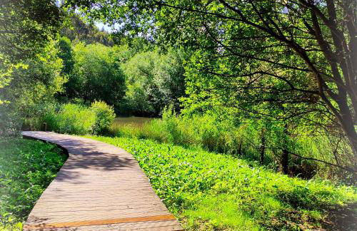 AMORES DE ASTURIAS - Foto 26