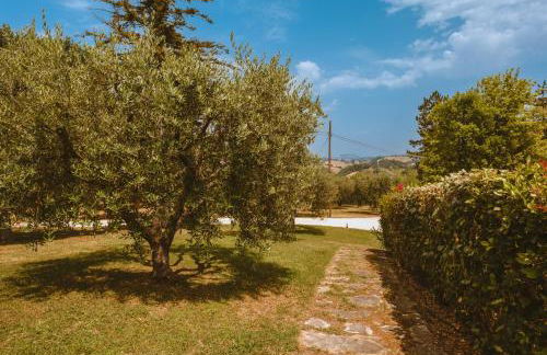 La Collina - Foto 19