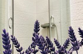 APARTMAN Captain Bervida Murter - Foto 19