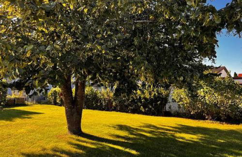 Welschwood Holiday Retreat with Sauna - Foto 24