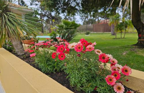 Charming Villa Jarros Private pool & Golf - Foto 11