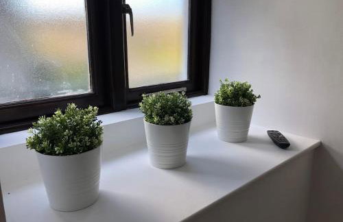 The Old Smelting Works - Photo 9