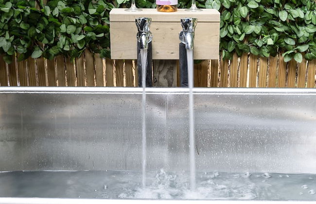 Two Peas In A Pod - Photo 18