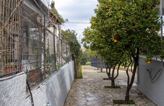 Aggelos Home in Kato Alepohori - Foto 29