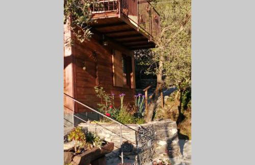 La Casetta di Molly tra ulivi e roseto - Foto 20