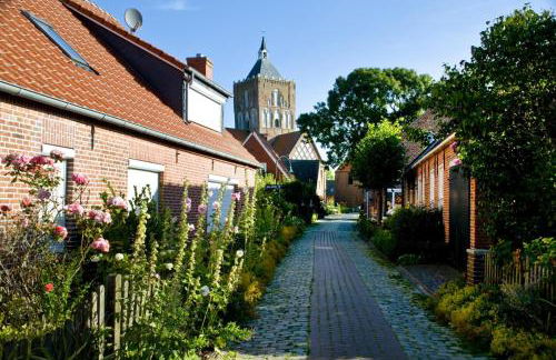 Pilsumer Sternekieker - Foto 24