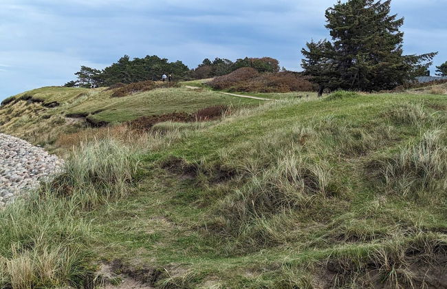 Pet Friendly Holiday Home in Dronningmølle near Sea - Foto 11