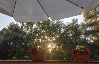 Profumo di Bosco - Photo 31