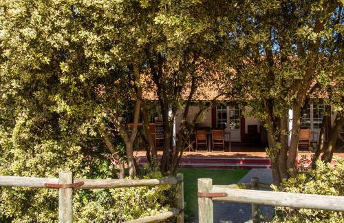 Herdade das Barradas da Serra - Foto 12