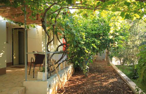 Apartments with parking space Rukavac, Vis - 8897 - Foto 27