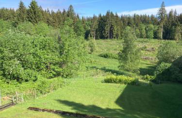 Hahnenklee Charme - moderne neue Ferienwohnung mit 2 Balkons - Foto 19