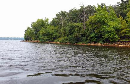 Lake Palestine Family Getaway with Waterfront Deck - Foto 31