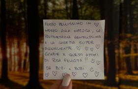 Attico Stella Alpina - Foto 13