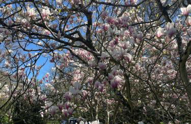 Causette Normandie - Foto 33