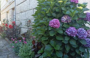 Acogedor apartamento con jardín - Foto 25