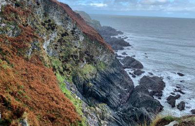 Honeysuckle Cottage - Foto 19