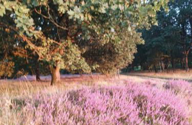 Hof Lindemann - Foto 11