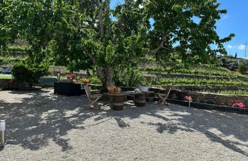 Quinta da Casa Cimeira, Guest House, Wines & Food - Foto 45