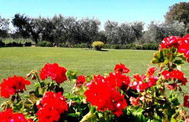 Agriturismo Ristorante Monte Argentario - Foto 14