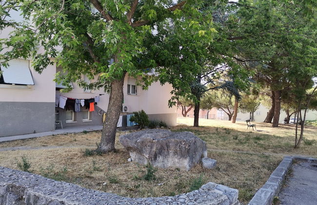 Apartment Ileora - Photo 3