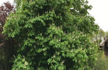 Steuerbordkajüte - Foto 21