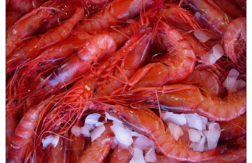 Casa Macchia - Foto 30