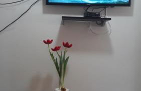 Pertinho da Mata - Foto 16