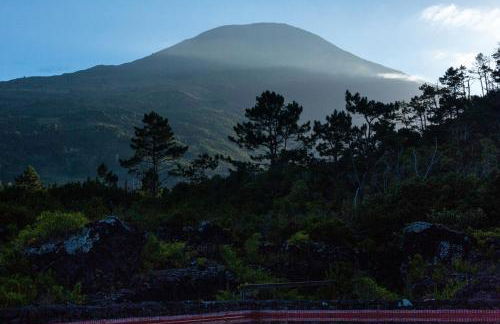 Casas do Amarelo - Photo 6