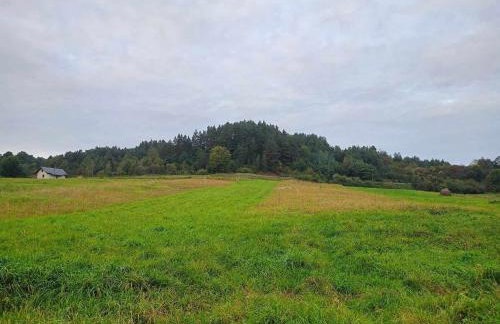 Domek u Gołąbków Bieszczady - Foto 19