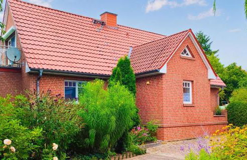 Ferienhaus Wokuhl-Dabelow - Foto 1