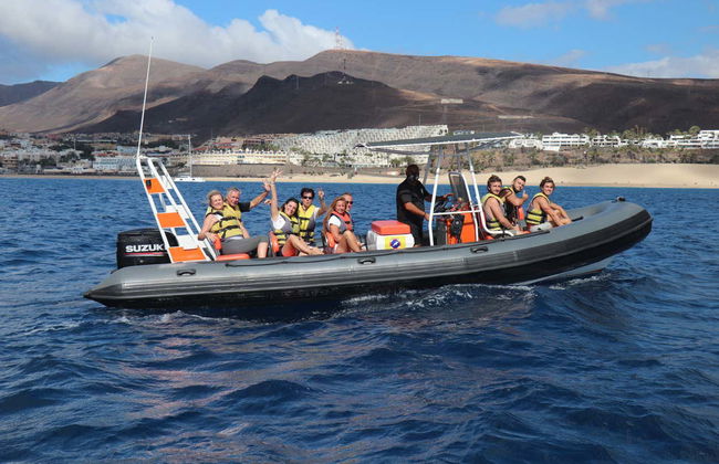 Fuerteventura Dolphin & Whale Watching by Speedboat + Snorkel - Foto 6
