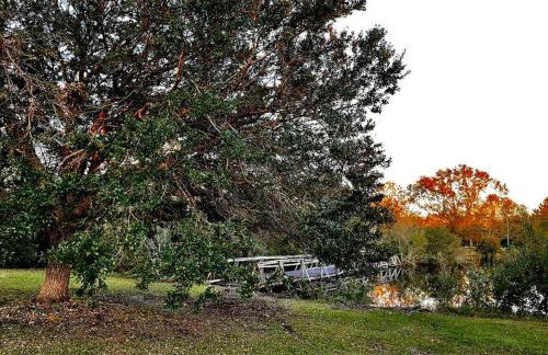 DoubleAcres - Foto 59