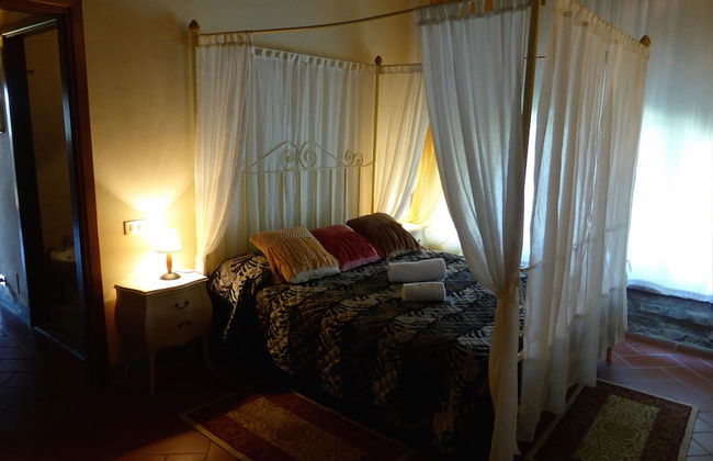 Fattoria di Colleoli - Foto 4