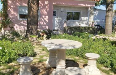 Casa dos Malmequeres - Photo 7