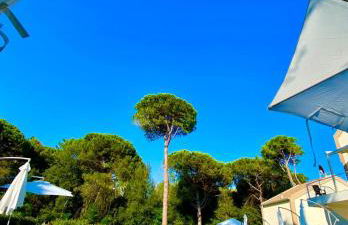 Le Dune Verdi - Foto 3