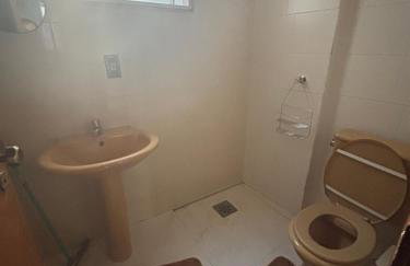 Apes Raizes Douradas - Foto 79