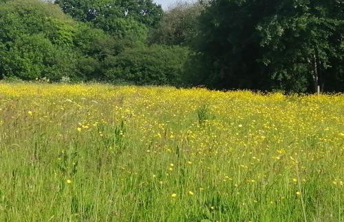 Martha's retreat - Photo 10